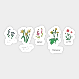 Wildflower illustration Sticker